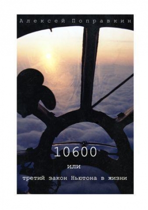 обложка книги 10600 или третий закон Ньютона в жизни - Алексей Поправкин