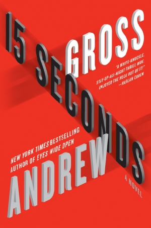 обложка книги 15 seconds - Andrew Gross