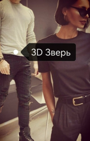 обложка книги 3D Зверь (СИ) - Дарья Хоб