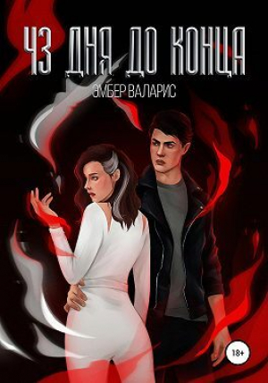 обложка книги 43 дня до конца (СИ) - Эмбер Валарис