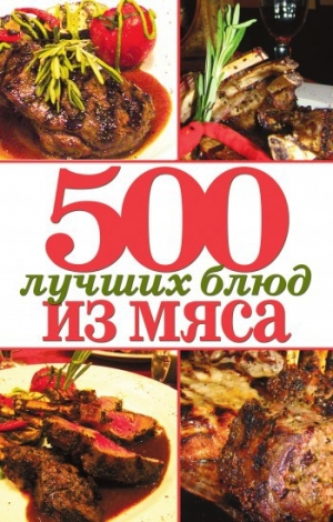 обложка книги 500 лучших блюд из мяса - Михаил Зубакин