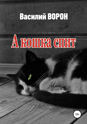 обложка книги А кошка спит - Василий Ворон