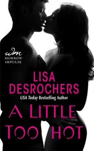 обложка книги A Little Too Hot - Lisa Desrochers