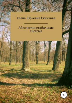 обложка книги Абсолютно стабильная система - Елена Скачкова