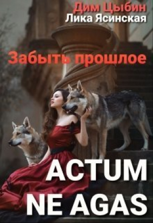обложка книги Actum ne agas. Забыть прошлое (СИ) - Лика Ясинская