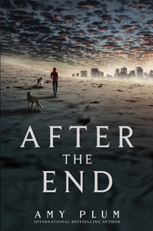 обложка книги After the End  - Amy Plum