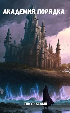 обложка книги Академия Порядка (СИ) - Тимур Белый