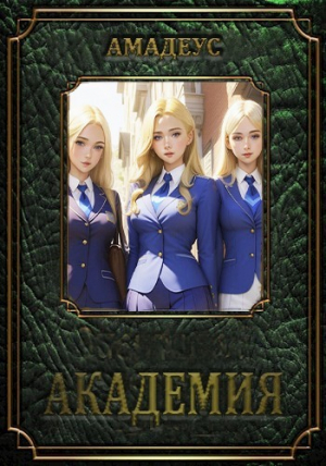 обложка книги Академия (СИ) - Амадеус