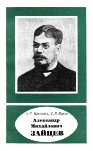 обложка книги Александр Михайлович Зайцев (1841-1910) - Г. Быков