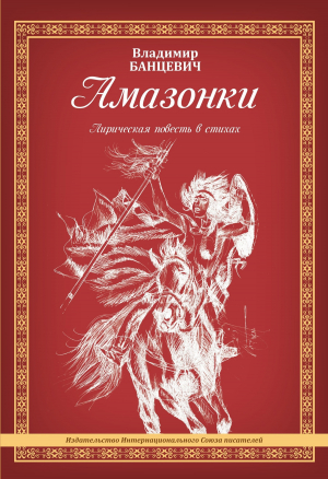 обложка книги Амазонки - Владимир Банцевич