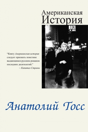 обложка книги Американская история - Анатолий Тосс