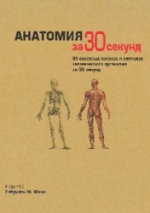 обложка книги Анатомия за 30 секунд - Габриэль М. Финн