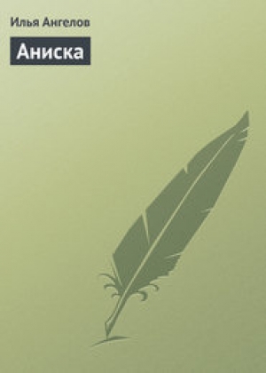 обложка книги Аниска - Илья Ангелов
