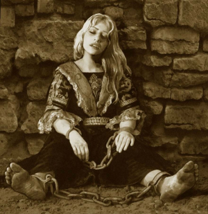 обложка книги Арест И Обыск Розы Люксембург - Олег Рыбаченко