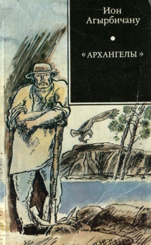 обложка книги «Архангелы» - Ион Агырбичану