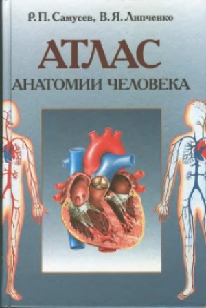 обложка книги Атлас анатомии человека - Рудольф Самусев