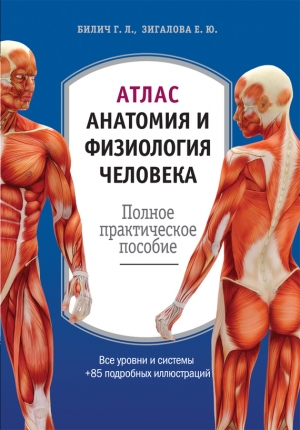 обложка книги Атлас: анатомия и физиология человека. Полное практическое пособие - Елена Зигалова