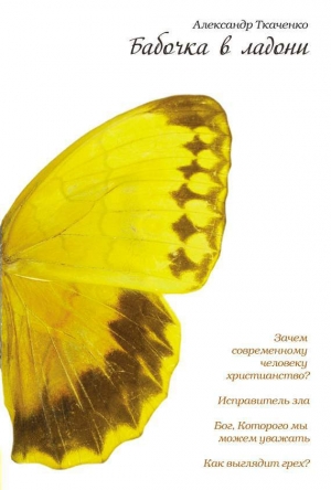 обложка книги Бабочка в ладони - Александр Ткаченко