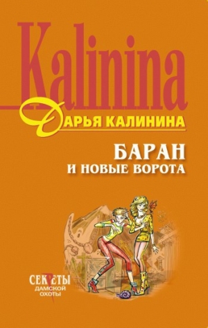 обложка книги Баран и новые ворота - Дарья Калинина