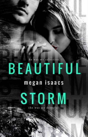 обложка книги Beautiful Storm - Megan Isaacs
