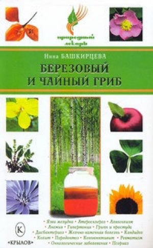 обложка книги Березовый и чайный гриб - Нина Башкирцева