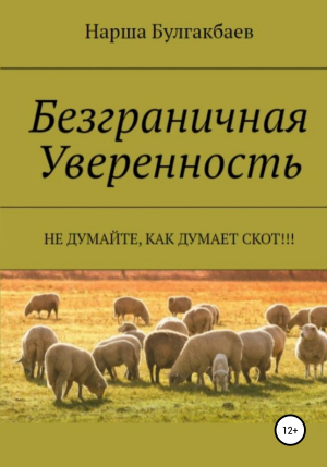 обложка книги Безграничная Уверенность - Нарша Булгакбаев