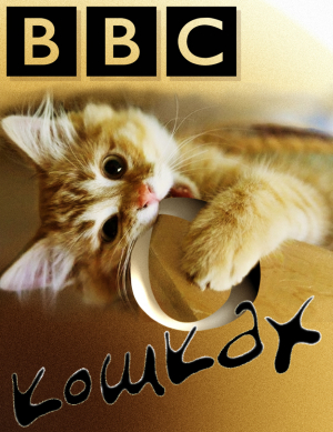 обложка книги Би-Би-Си о кошках (сборник) - Джейн Палмер