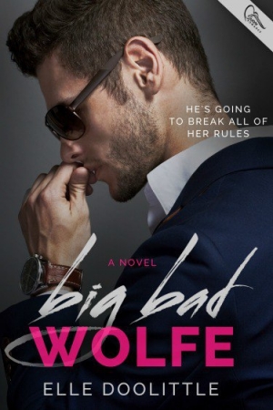 обложка книги Big Bad Wolfe - Danielle Doolittle