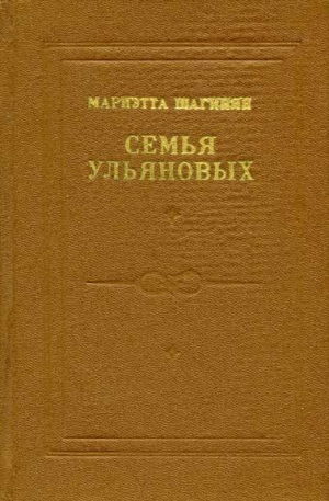 обложка книги Билет по истории - Мариэтта Шагинян