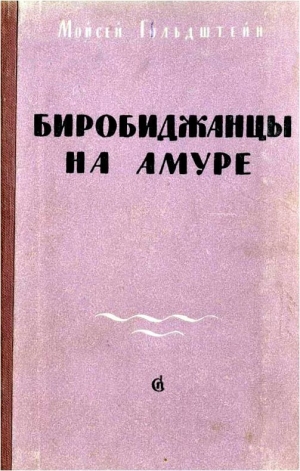 обложка книги Биробиджанцы на Амуре - Моисей Гольдштейн