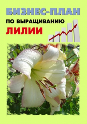 обложка книги Бизнес-план по выращиванию лилии - Павел Шешко