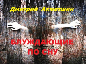 обложка книги Блуждающие по сну - Дмитрий Ахметшин