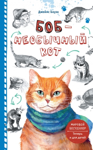 обложка книги Боб – необычный кот - Джеймс Боуэн