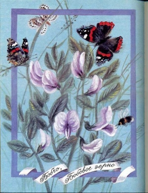 обложка книги Бобчо, бобовое зерно - Лиана Даскалова