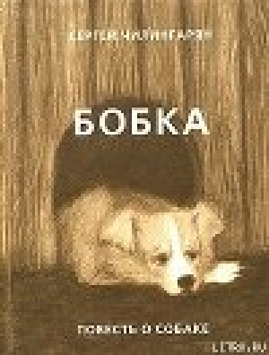 обложка книги Бобка - Сергей Чилингарян