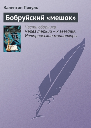 обложка книги Бобруйский «мешок» - Валентин Пикуль