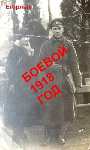 обложка книги Боевой 1918 год (СИ) - Егорлык