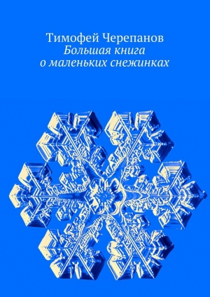 обложка книги Большая книга о маленьких снежинках - Тимофей Черепанов