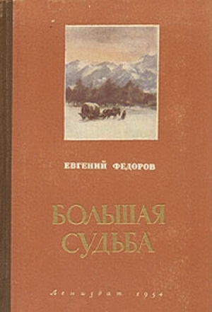 обложка книги Большая судьба - Евгений Федоров