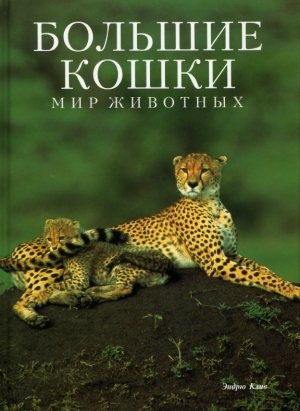 обложка книги Большие кошки - Эндрю Клив