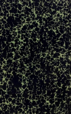 обложка книги Борьба Польши и Литвы-Руси за Галицко-Владимирское наследие - И. Филевич