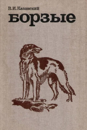 обложка книги Борзые - Василий Казанский
