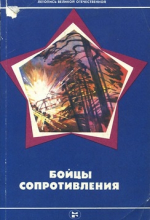 обложка книги Бойцы Сопротивления - Николай Пронин