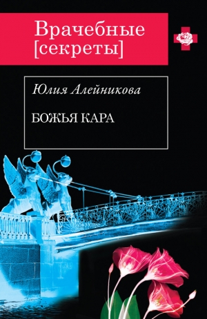 обложка книги Божья кара - Юлия Алейникова