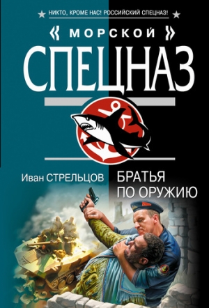 обложка книги Братья по оружию - Иван Стрельцов
