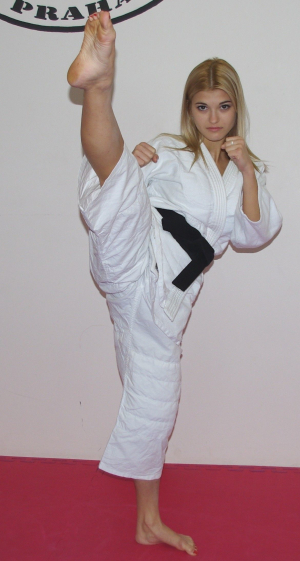 обложка книги Британия не стала мешать Гитлеру! - Олег Рыбаченко