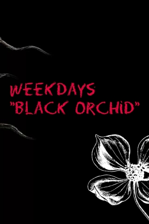 обложка книги Будни «Чёрной орхидеи» (СИ) - Dita von Lanz