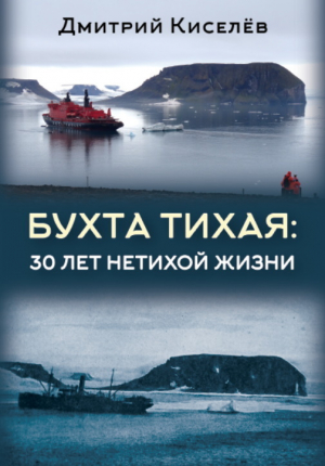 обложка книги Бухта Тихая. 30 лет нетихой жизни - Дмитрий Киселёв