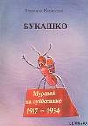 обложка книги Букашко - Владимир Моисеев