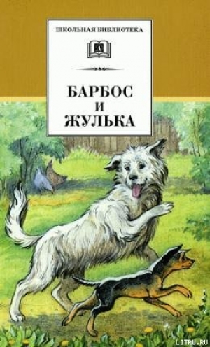 обложка книги Буран - Виталий Коржиков